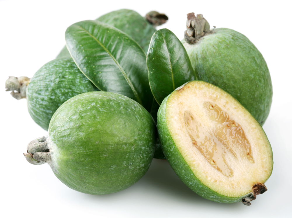 feijoa